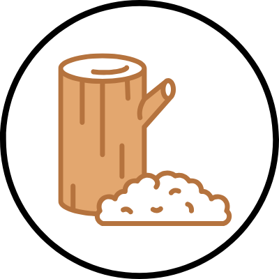 Paper & Pulp